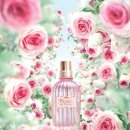 강아지 꼬순내 이미지