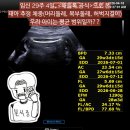 의령 주수의과 병원 | [임신 29주4일]예비아빠의 '태아 추정 체중'과 백분위 분석(태아 몸무게 계산, 초음파 수치, 해들록...