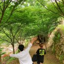 반석민박 이미지