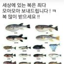 코미도리 이미지