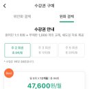 판판차이니즈 이미지