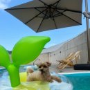 경주 스테이 스텐빌 이미지