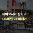 OK포인트마트 월성점 | 미야코지마 다이빙숍 비교 OK마린 vs 마레아 어디가 더 잘 맞을까