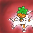 닥터피메디컬 이미지