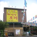 가나안오리
