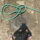 예천-호스릴-3 | 자동호스워터릴 샀다가 텃밭 물주기 진작 할걸 (찐후기)