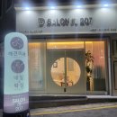 살롱드 207 이미지