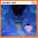 월드미디어 | 워터월드 제주 솔직후기 비오는날 실내 미디어아트 체험