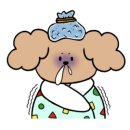 산책동물병원 이미지