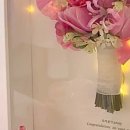 블레어리 이미지