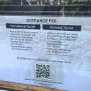 연꽃 | 발리 여행 우붓 가볼만한 곳 물의 궁전 따만 사라스와띠 사원 연꽃 입장료 후기