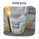 펫어디가 | 강아지와 고양이 모두 어디서나 하루한포 편리하게 리브펫 유산균 후기