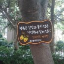 좌4동 주민센터 이미지