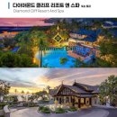 파라다이스 티스토리