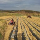 덕암농원 이미지