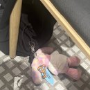 [내돈내산] 전주롯데백화점 지하 푸드코트 맛집 추천 “돈이찌”(교토규동+마파탄탄멘)