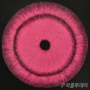 아크릴로 만나는 세계 이미지