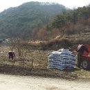 고죽1리 이미지