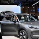 중국차, 글로벌 BEV·PHEV 톱20 중 17개 휩쓸어… '보급형 모델' 없는 현대차 고전 이미지