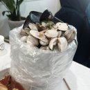 선장얼큰이칼국수