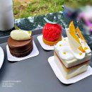 일산 밤리단길 베이커리카페 &#39;미라이키&#39; 솔직후기 디저트 비주얼에 맛까지 완벽했던 하루