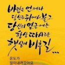 보리화 이미지
