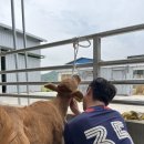 구교농장 네이버블로그