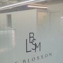 르 블라썸(LE BLOSSOM)
