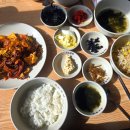 오봉집수완장덕점 | 수완지구 낙지볶음 맛집 오봉집 수완장덕점