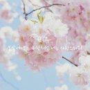오십오 이미지