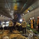 황령터널 이미지