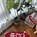 핫도그하우스 이미지