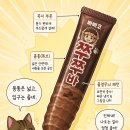 쭈쭈바