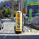 옥단지 이미지
