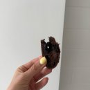 꿉다