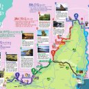 파도와 햇빛을 따라 걷는 길 겨울 문턱의 호미반도 해안둘레길 이미지