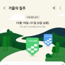 10월25일 수요일 뚜벅 출석부(치열한 8기 대전) 이미지