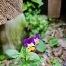 봉덕보건진료소 이미지