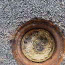 고창시장 입구 이미지