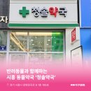 청솔약국 네이버블로그