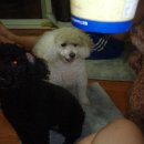 밥이대장 이미지