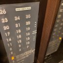 원거리10길2 | (20.11) 포포인츠 바이 쉐라톤 명동 호텔 슈페리어 더블룸 남산타워뷰