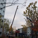 OK카고크레인 | 오산 가수동 SK뷰 아파트 조경, 신갈카고크레인 5톤으로 나무 옮기고 심기까지 깔끔 완벽하게 완료...