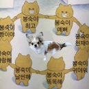 봉숙이 이미지