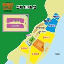 고아웃
