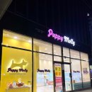 부산진구-16 이미지