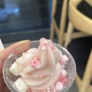 매산목장 | 봄봄봄🌸