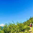 7월20일 Yellow Aster Butte Trail (Mt.Baker) 이미지