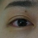 O'LSAH(오래쉬)