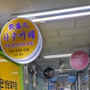봄타로카페 | 명쾌했던 상계동 타로 관성원 사주카페 후기